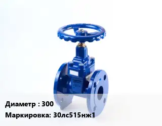 Задвижка стальная 300 30лс515нж1